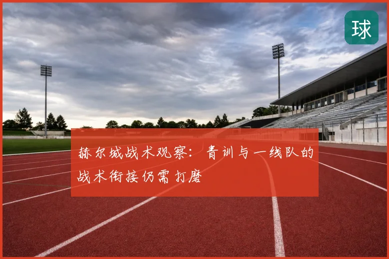 赫尔城战术观察:青训与一线队的战术衔接仍需打磨